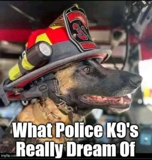 K9 Unit